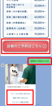 条件分岐・シナリオ配信 